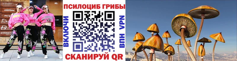 Псилоцибиновые грибы Psilocybine cubensis  mega вход  Жигулёвск 